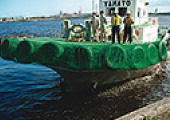 2006年 写真1 本船汚れ防止用カバーを提案