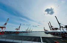 コンテナターミナル 株式会社ダイトーコーポレーション